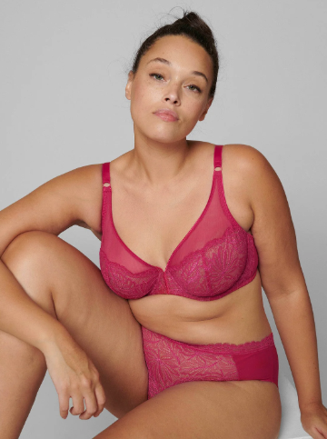 Exotica Sheer Plunge Bra