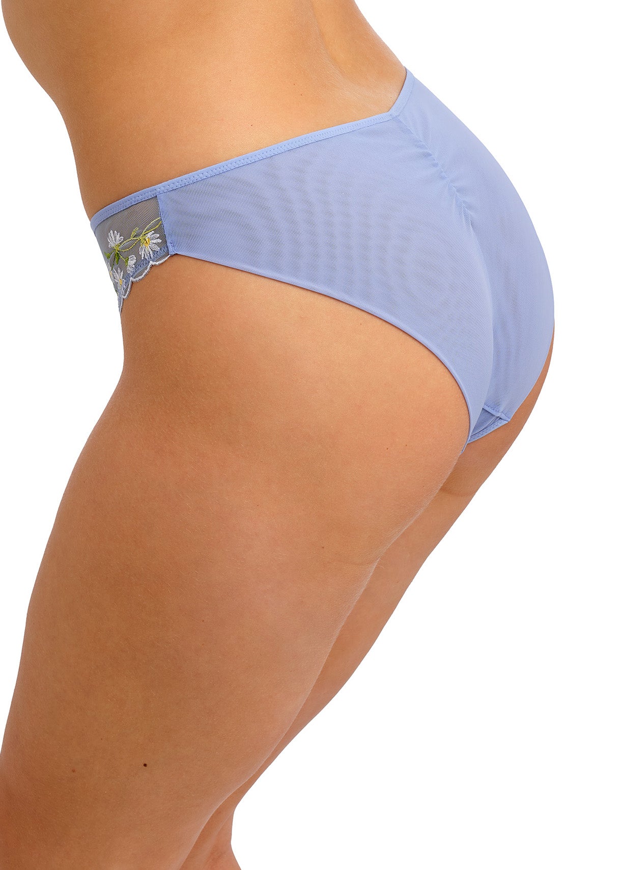 Entwined Daisy Brief